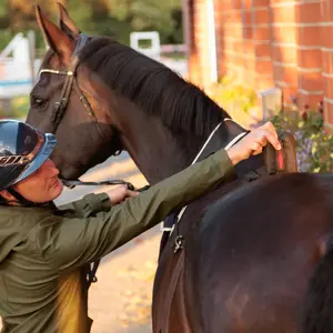Oplyst armbånd Kavalkade Horselight image-1