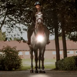 Jagdgeschirr für Pferde und Sattelschutz Kavalkade Horselight image-1