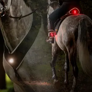 Lámpara Kavalkade Horselight image-1