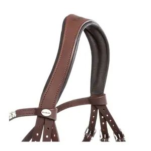 Riding bridles Kavalkade Everness image-3