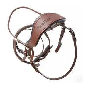 Riding bridles Kavalkade Everness image-4