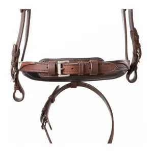 Riding bridles Kavalkade Everness image-2