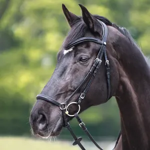 Bridon équitation anatomique hanovrienne Kavalkade Everado image-1