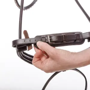 Hebilla para cincha de equitación sueca Kavalkade Alter Schwede image-1