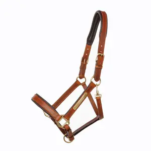 Bocca per cavallo Kavalkade Cinta image-0