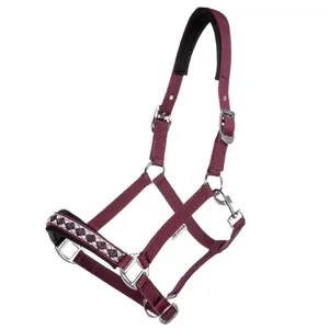 Halter for horse Kavalkade Draft Horse-Classic image-0