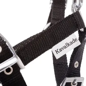 Kantar dla źrebiąt i roczniaków Kavalkade image-1