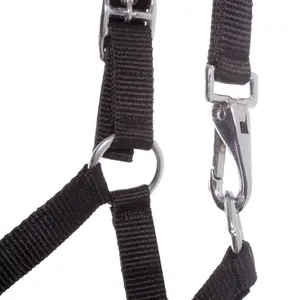 Kantar dla źrebiąt i roczniaków Kavalkade image-2