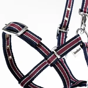 Cabresto para poldros e crias Kavalkade image-1