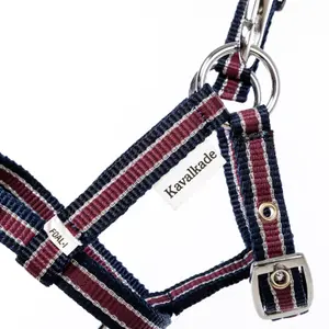 Cabresto para poldros e crias Kavalkade image-2