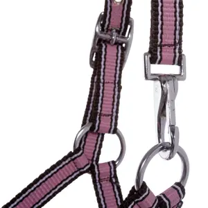 Kantar dla źrebiąt i roczniaków Kavalkade image-3