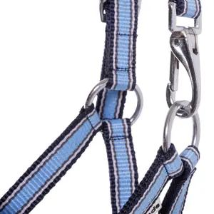 Kantar dla źrebiąt i roczniaków Kavalkade image-2