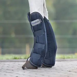 Damasker för främre transport för hästar Kavalkade Montreal image-2