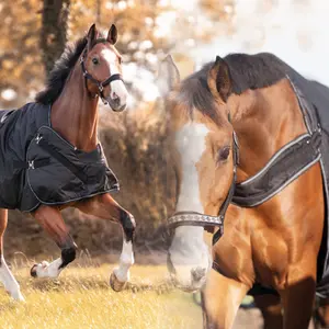 Couverture d'écurie pour cheval 2en1 d'extérieur et de marcheur Kavalkade Halifax image-1
