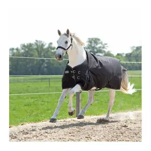 Couverture d'extérieur pour cheval Kavalkade Alaska IV image-0