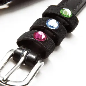 Sporenriemen für Pferde Kavalkade Seasons Dreams image-1