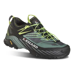 018022460-wanderschuhe-kayland-duke-gtx-schwarz-grun