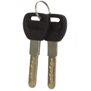 Chain lock Auvray K-Block 150 Long. 150 Ø10 image-2