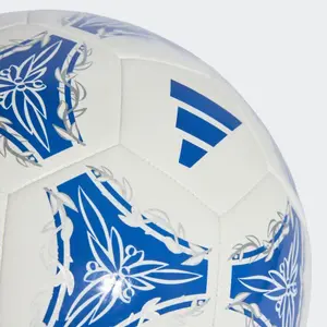 Argentinian Football Ball Coupe du Monde 2026 image-1