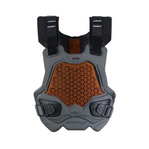 Motorcycle stone guards Kenny Rlab D3O