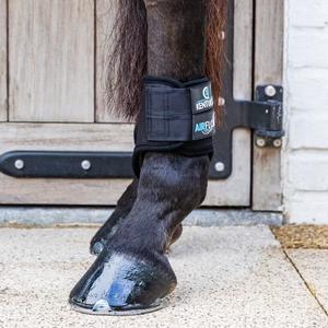 Botas de caña corta para caballos Kentucky 3D Air Flow image-6