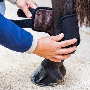 Botas de caña corta para caballos Kentucky 3D Air Flow Skin Friendly image-5