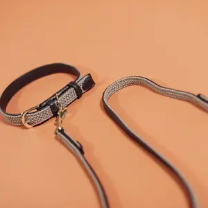 Geflochtene Nylon-Hundeleine Kentucky 200 cm image-3