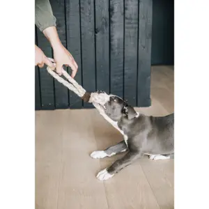 Hondenspeelgoed Kentucky Dogwear Cotton Rope 8 Loop image-1