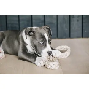 Hondenspeelgoed Kentucky Dogwear Cotton Rope 8 Loop image-3