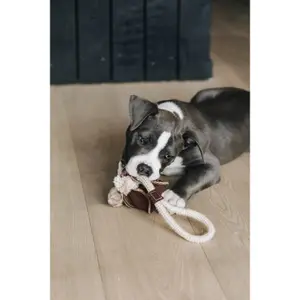 Hundespielzeug Kentucky Dogwear Cotton Rope Baseball image-3