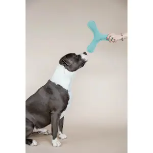 Hondenspeelgoed Kentucky Dogwear Pastel Boomerang image-3