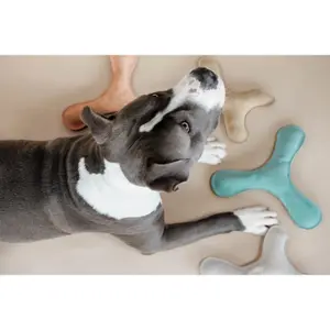 Hondenspeelgoed Kentucky Dogwear Pastel Boomerang image-2