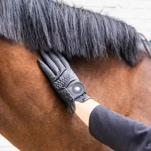 Γάντια Ιππασίας Kentucky Horsewear Grip Glitter image-2
