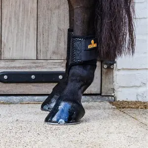 Προστατευτικά πόδια για άλογα Kentucky Horsewear ProAir short image-3