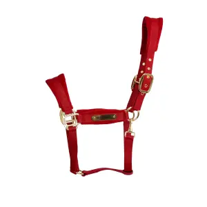 Λάσκα για άλογο από νάιλον Kentucky Horsewear image-0