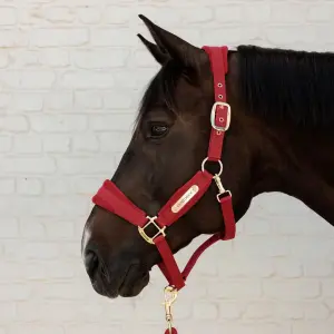Λάσκα για άλογο από νάιλον Kentucky Horsewear image-1