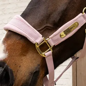 Cabestro de nylon Kentucky Horsewear image-1