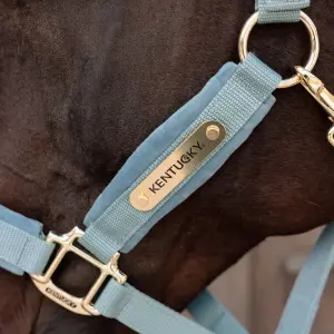 Λάσκα για άλογο από νάιλον Kentucky Horsewear image-2