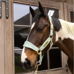 Cabestro de nylon Kentucky Horsewear image-1