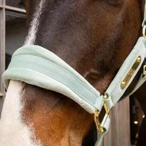 Cabestro de nylon Kentucky Horsewear image-2