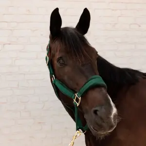 Λάσκα για άλογο από νάιλον Kentucky Horsewear image-1