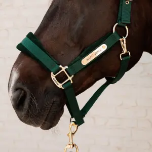 Λάσκα για άλογο από νάιλον Kentucky Horsewear image-2