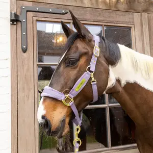 Cabestro de nylon Kentucky Horsewear image-1