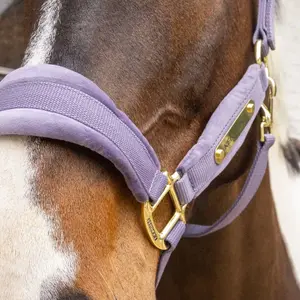 Cabestro de nylon Kentucky Horsewear image-2