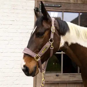 Cabestro de nylon Kentucky Horsewear image-1