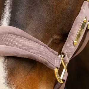 Cabestro de nylon Kentucky Horsewear image-2
