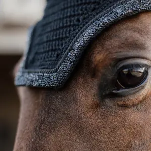 Βραχύς μπεζές για άλογο Kentucky Horsewear Wellington Glitter Stone image-3