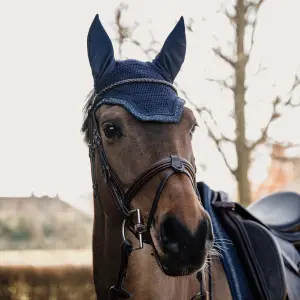 Βραχύς μπεζές για άλογο Kentucky Horsewear Wellington Glitter Stone image-2