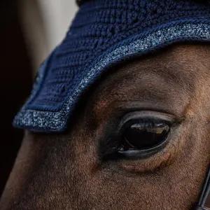 Βραχύς μπεζές για άλογο Kentucky Horsewear Wellington Glitter Stone image-3
