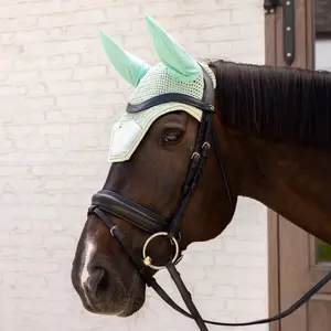Velvet fly veil for horses Kentucky Horsewear Wellington image-1
